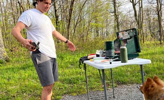 Nick C.'s photo of camping with pets at Mathews Arm Campground — Shenandoah National Park near Rileyville, VA