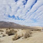 Review photo of Agua Caliente County Park Campground by Katie O., July 14, 2018