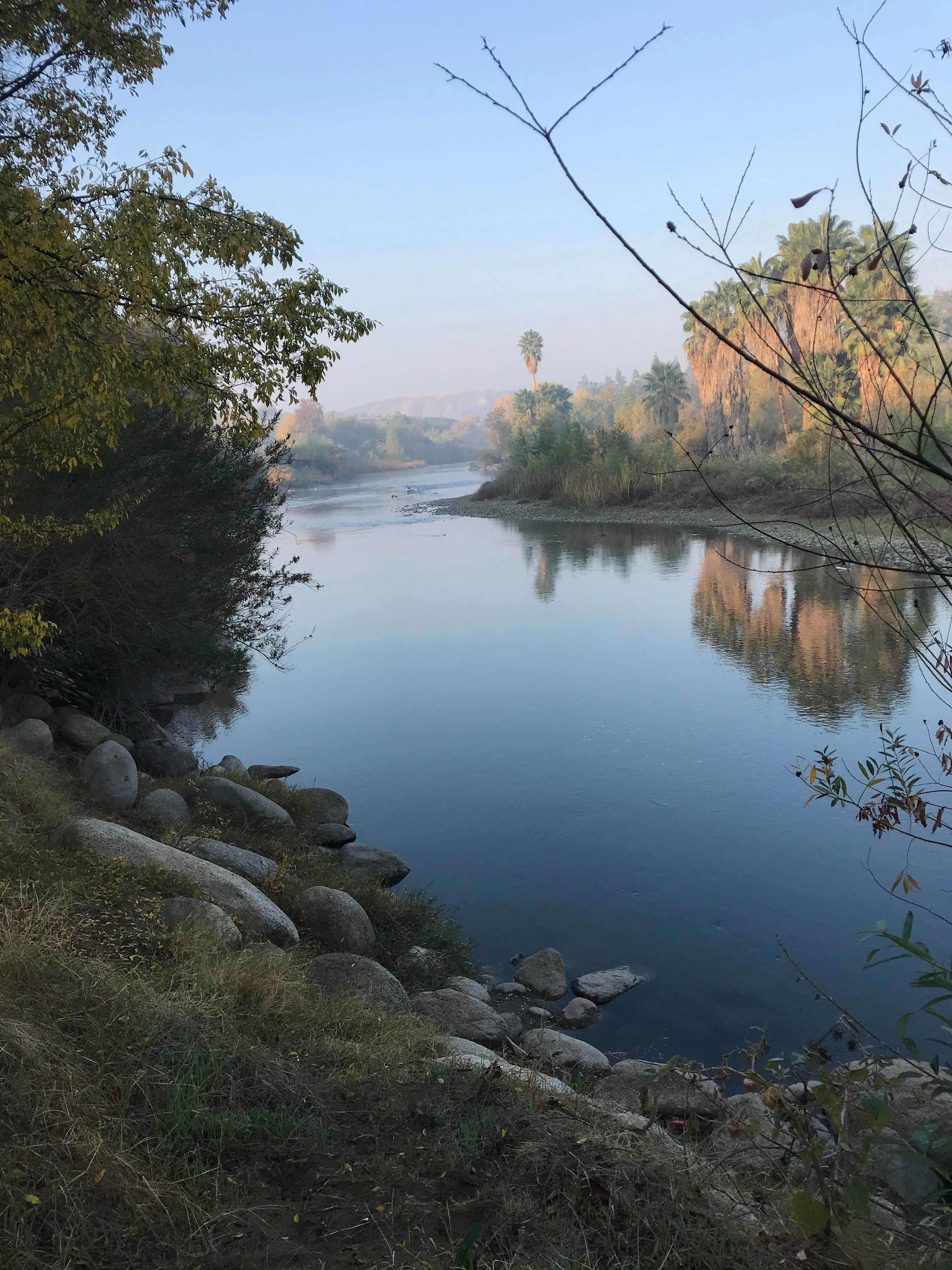 Camper submitted image from Kern River County Park - 4