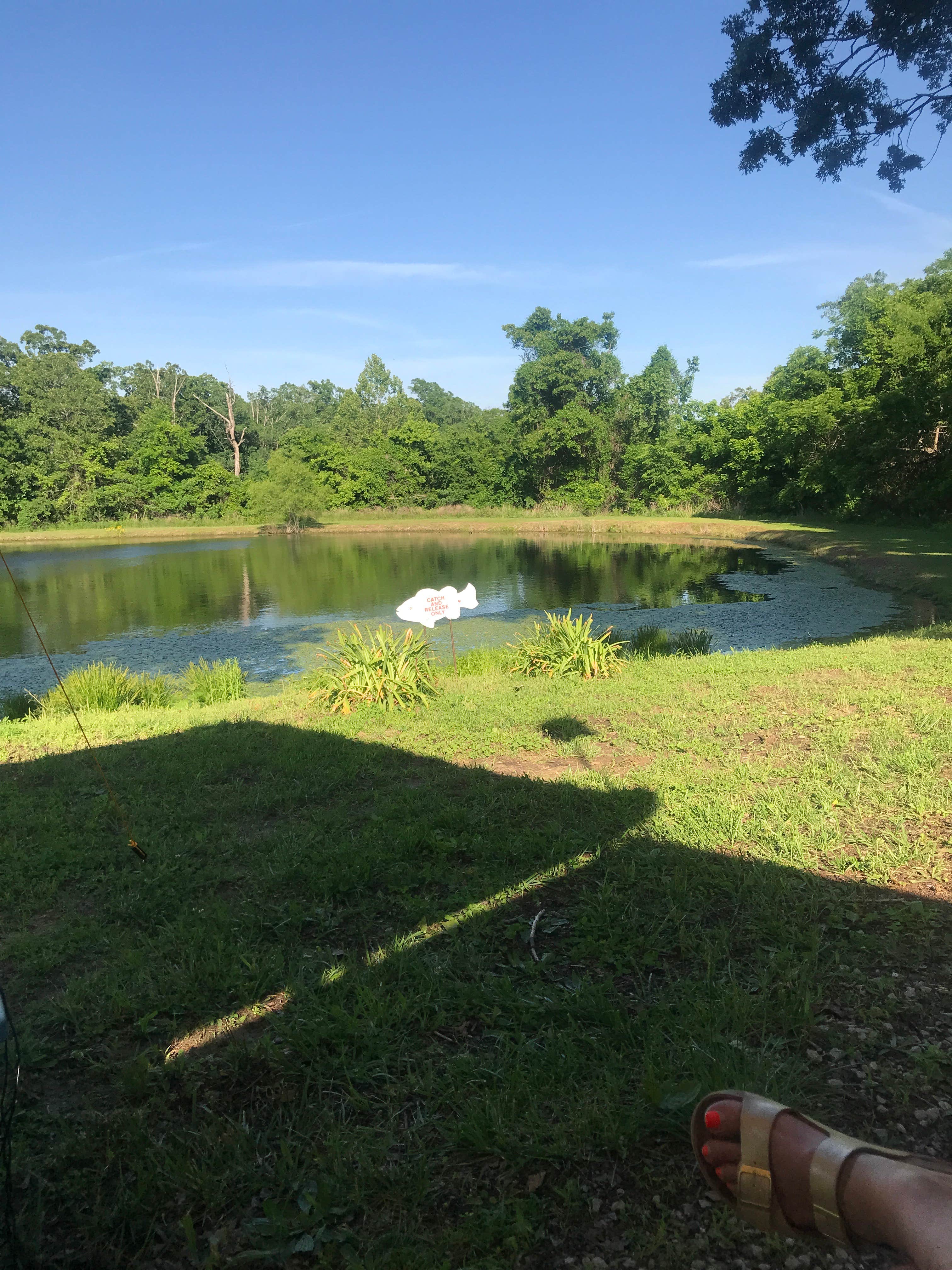 Camper submitted image from Arrowhead Point RV Park & Cabins Campground - 5
