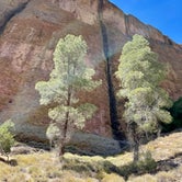 Review photo of Pinnacles Campground — Pinnacles National Park by Claudia M., May 30, 2022
