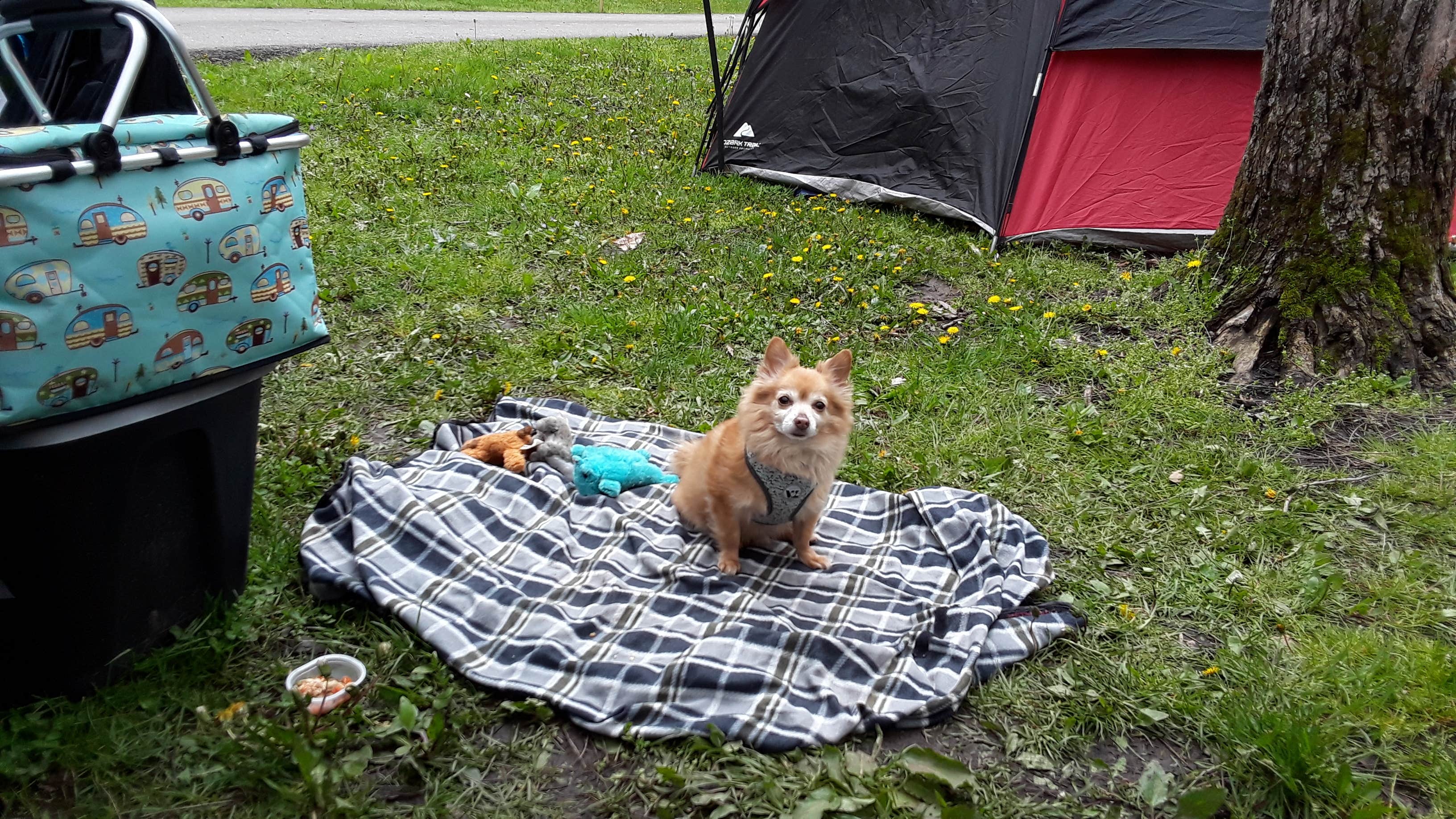 Camper-submitted photo at Kiser Lake State Park Campground near Troy, OH