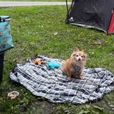 Review photo of Kiser Lake State Park Campground by Marsha S., May 30, 2022