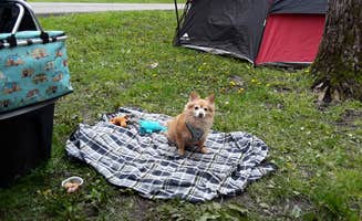 Marsha S.'s photo at Kiser Lake State Park Campground near Clarence J. Brown Dam and Reservoir