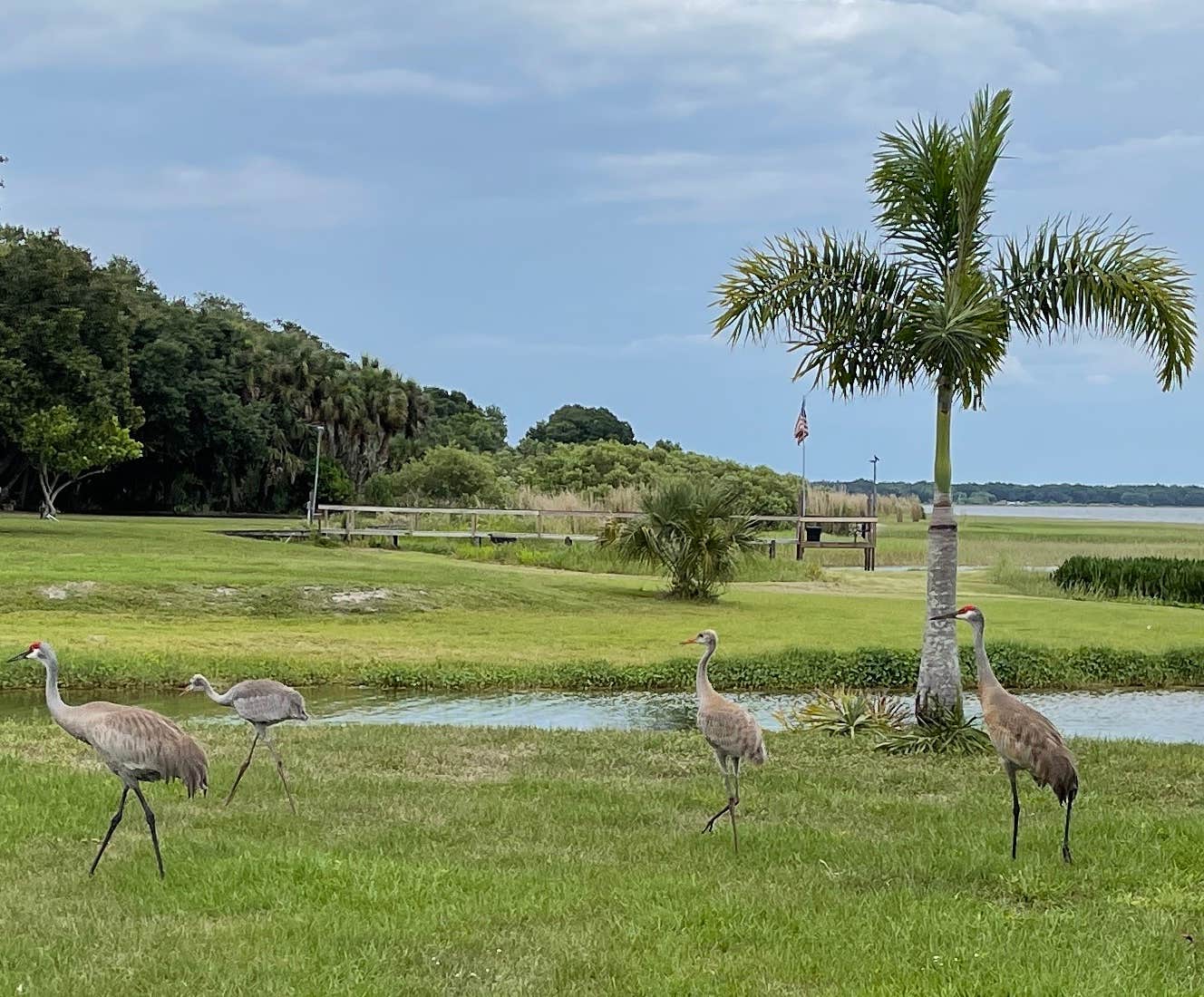 Camper-submitted photo at Butch’s RV Hideaway near Nalcrest, FL