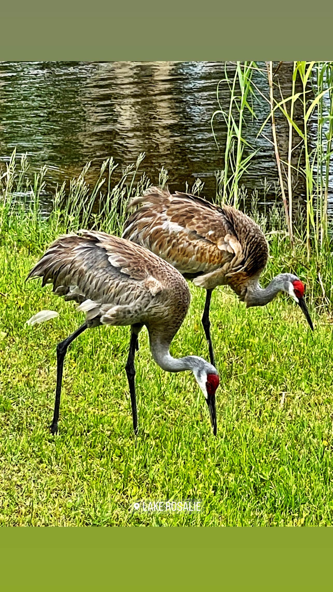 Camper-submitted photo at Butch’s RV Hideaway near Nalcrest, FL