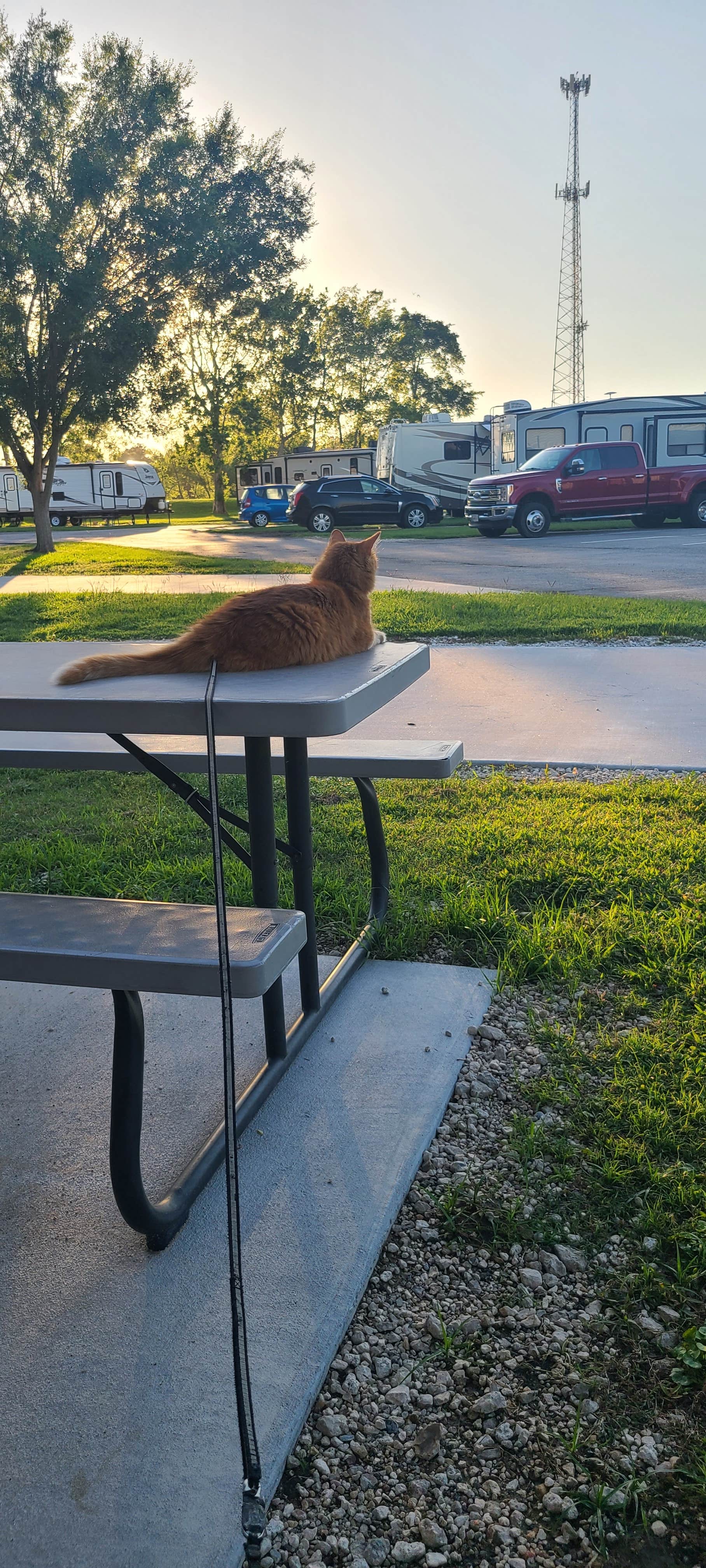 Camper-submitted photo at Hidden Lake RV Park near Sabine Pass, TX