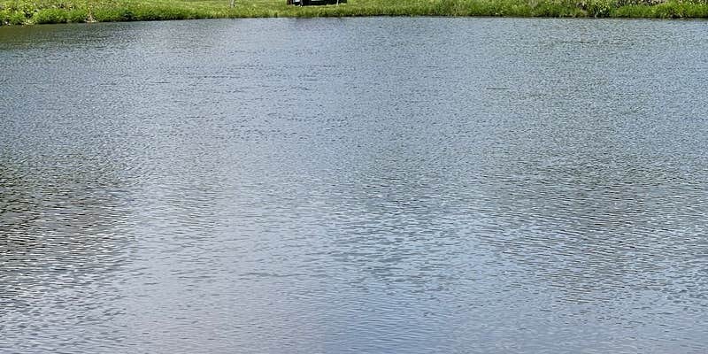 Camper submitted image from Country Bend Campground