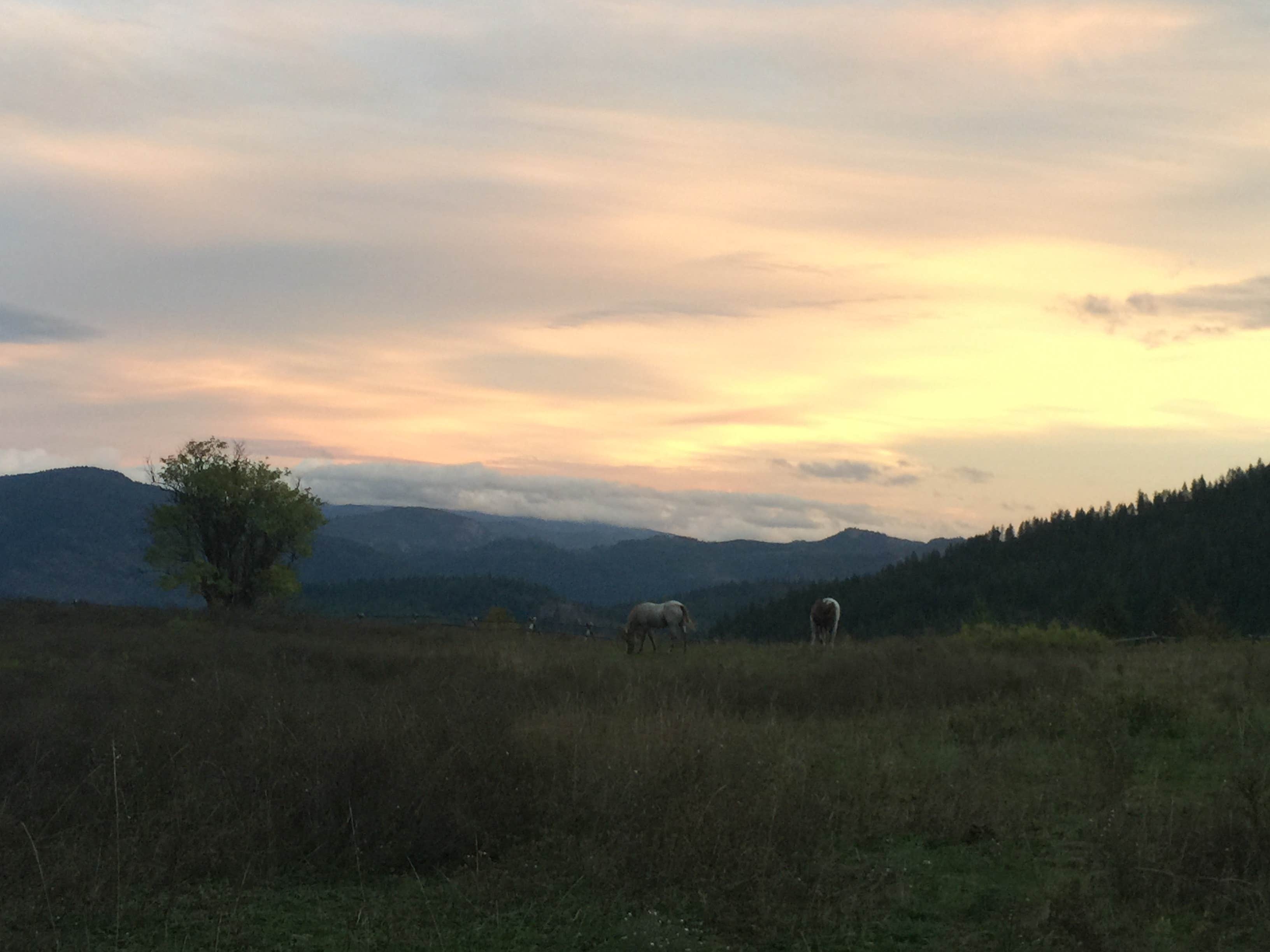 Camper-submitted photo at Iron Mountain Ranch Screen House near Colville National Forest