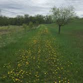 Review photo of Lac qui Parle Upper Campground — Lac qui Parle State Park by Deanna J., May 30, 2022