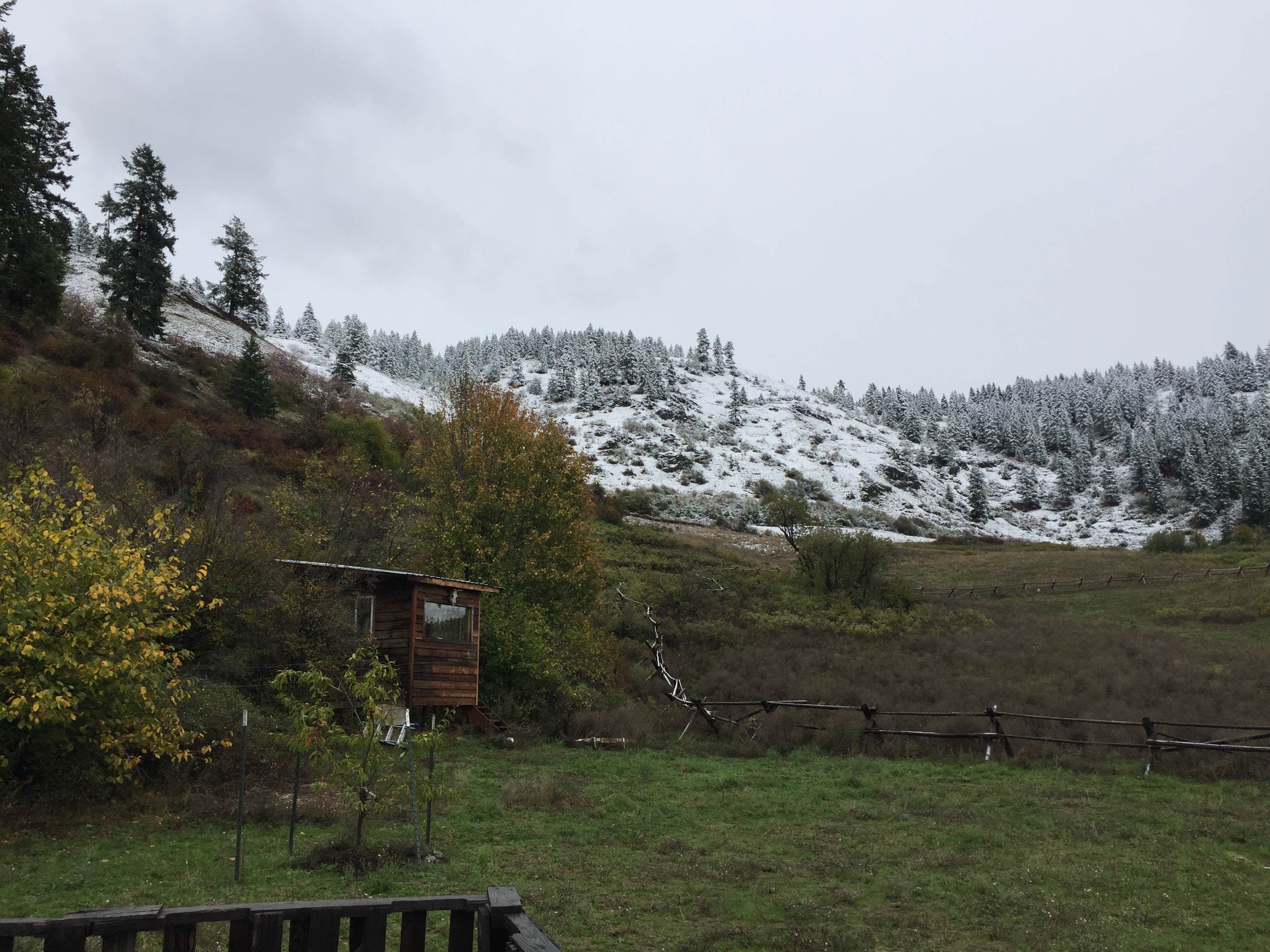 Camper-submitted photo at Iron Mountain Ranch Screen House near Colville National Forest