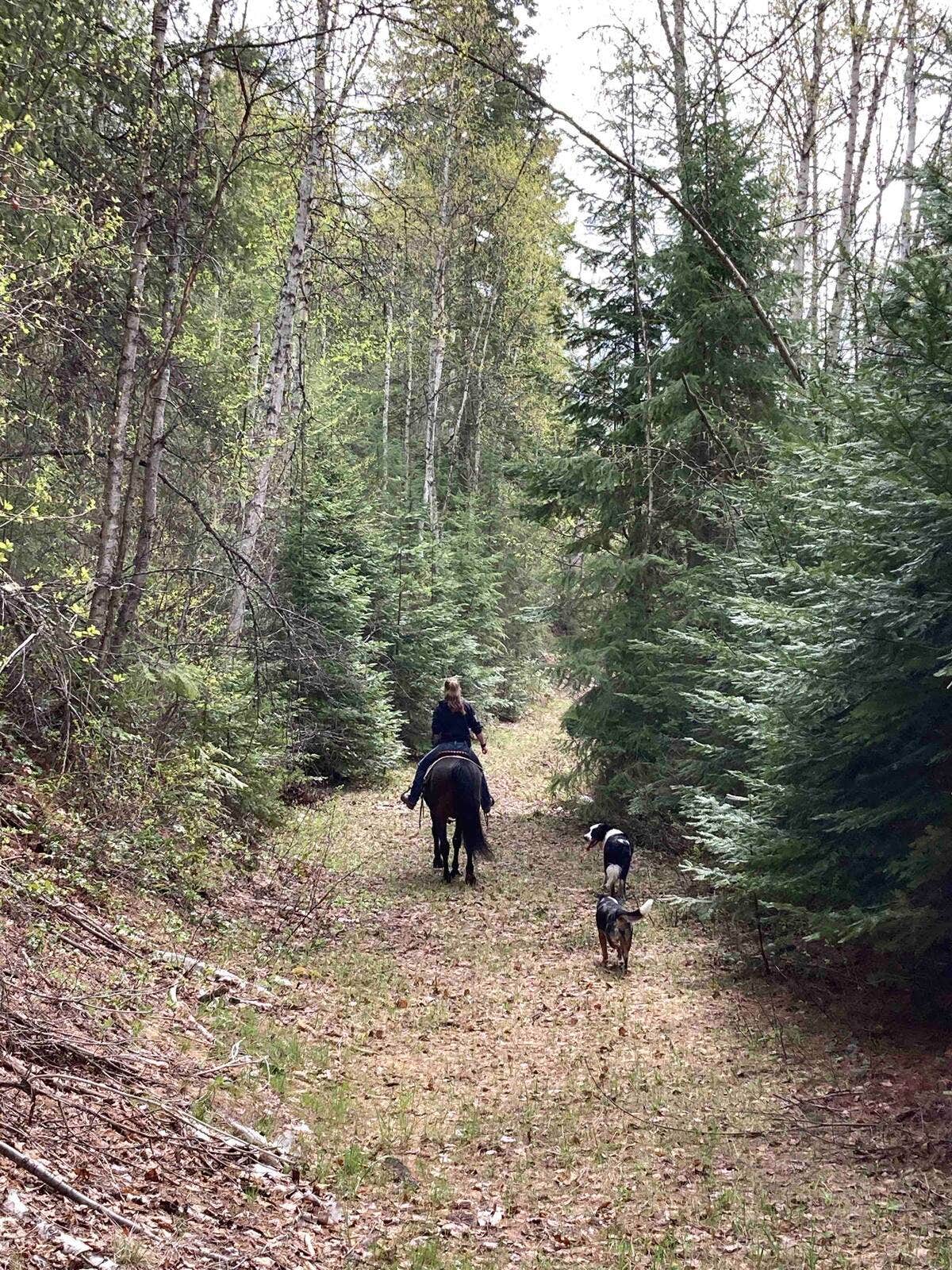 Lindsay's photo of camping with pets at Iron Mountain Ranch Screen House near Ione, WA