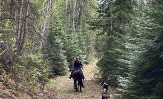 Lindsay's photo of camping with pets at Iron Mountain Ranch Screen House near Republic, WA