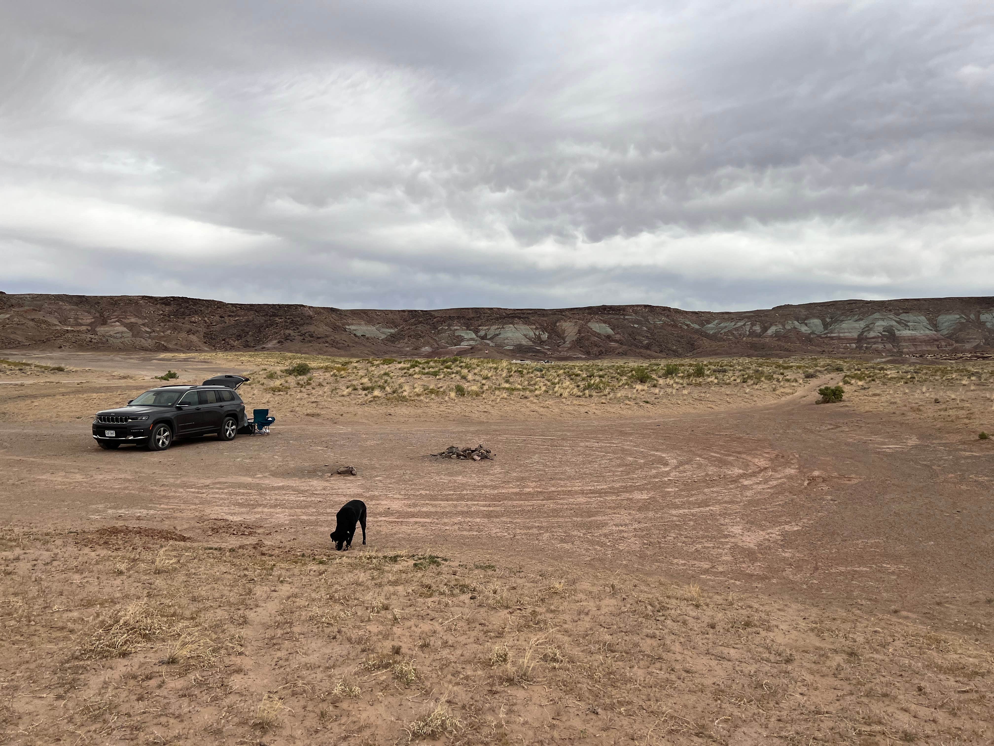 Sam P.'s photo of camping with pets at Dispersed Camping Outside of Moab - Sovereign Lands near Moab, UT