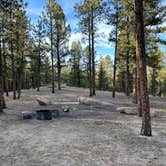 Review photo of Buffalo Creek Recreation Area by Sam P., May 30, 2022