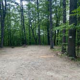 Review photo of Danforth Bay Camping & RV Resort by Randy R., May 29, 2022