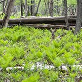 Review photo of Harrington Beach State Park Campground by Nicole K., May 30, 2022