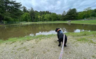 Anthony I.'s photo of camping with pets at Montebello Resort near Montebello, VA
