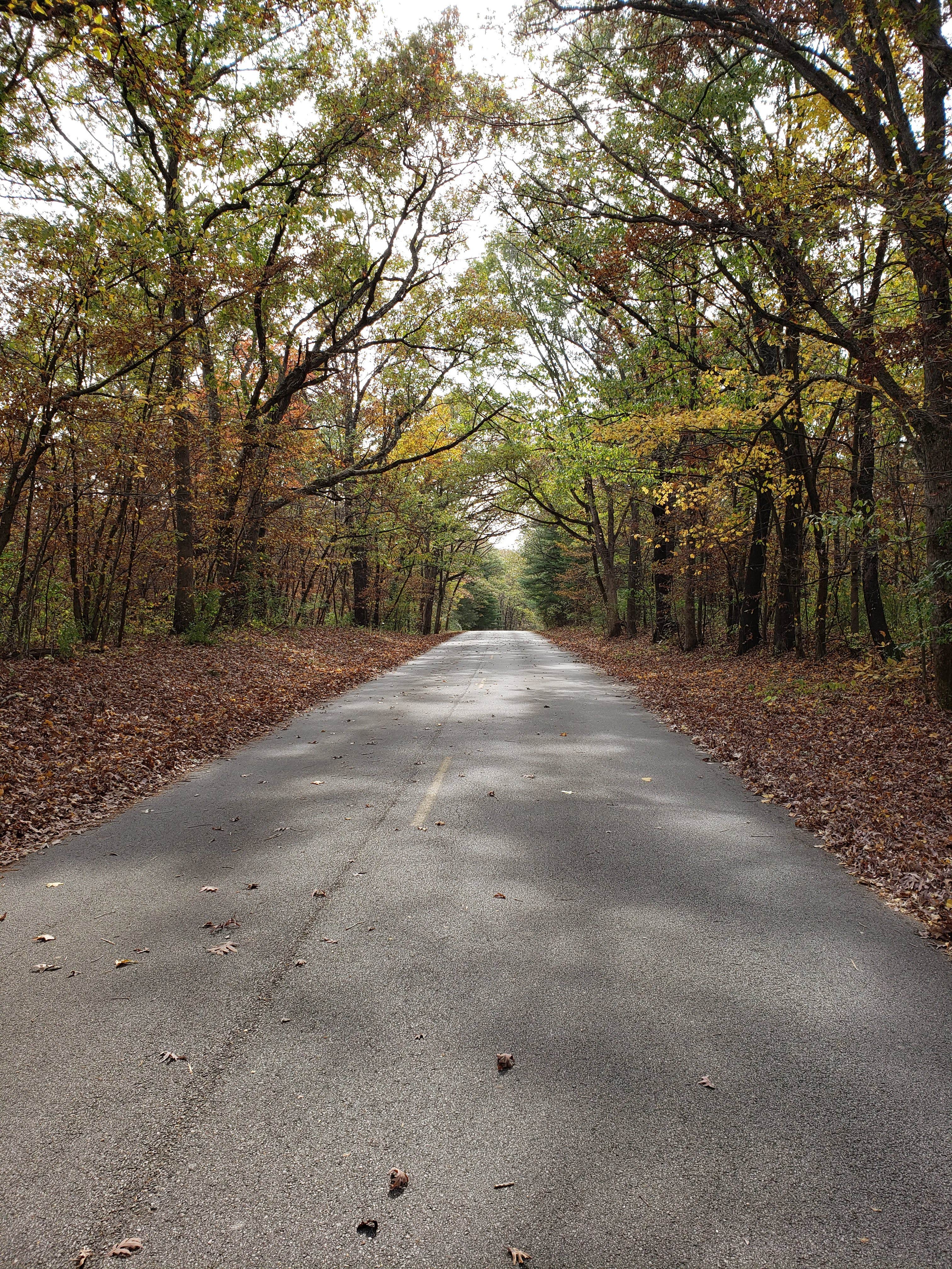 Camper-submitted photo at Big Oaks Campground — Argyle Lake State Park near Colchester, IL