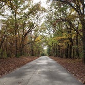 Review photo of Big Oaks Campground — Argyle Lake State Park by Stacie H., May 30, 2022