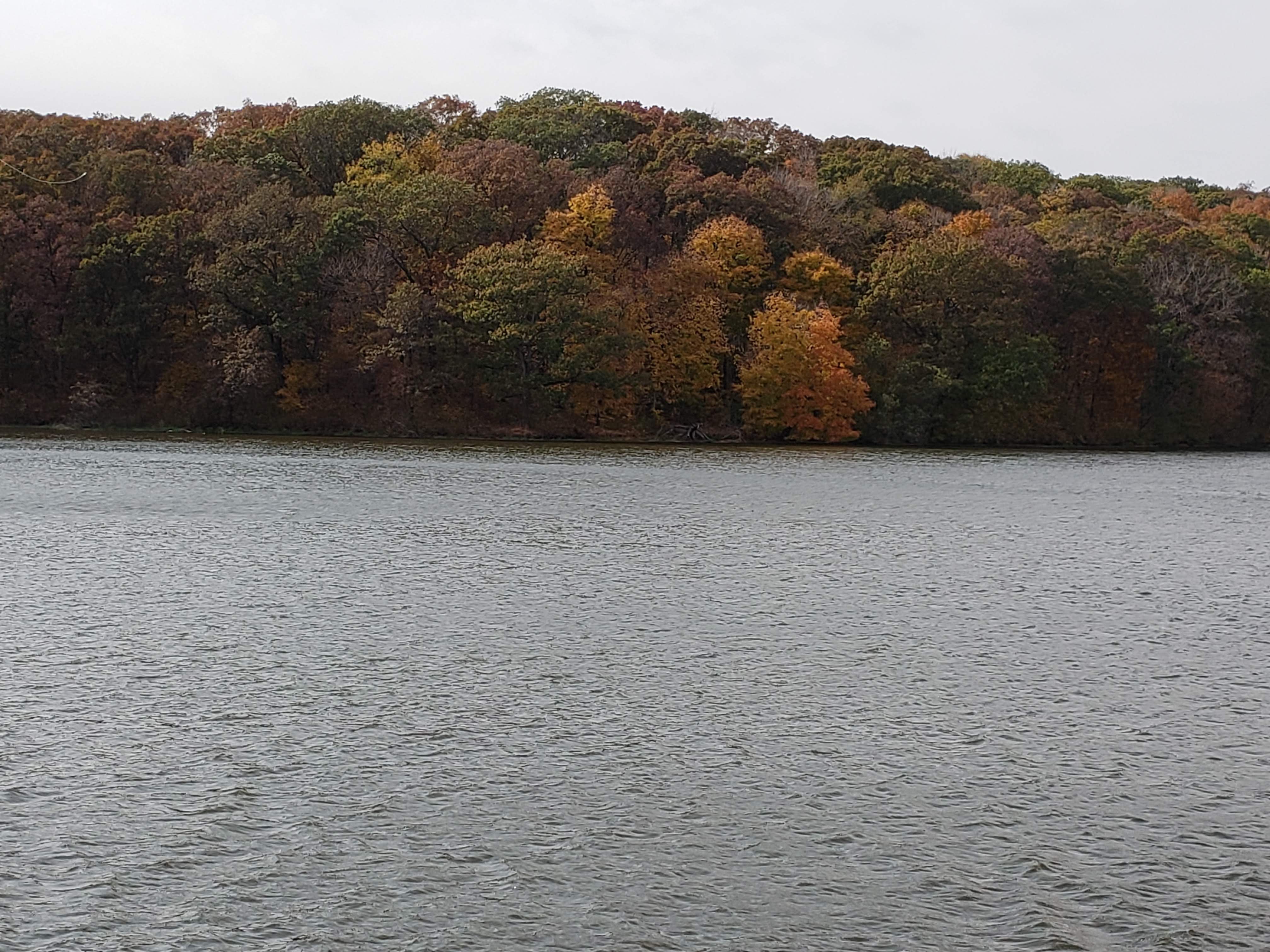 Camper submitted image from Big Oaks Campground — Argyle Lake State Park - 5