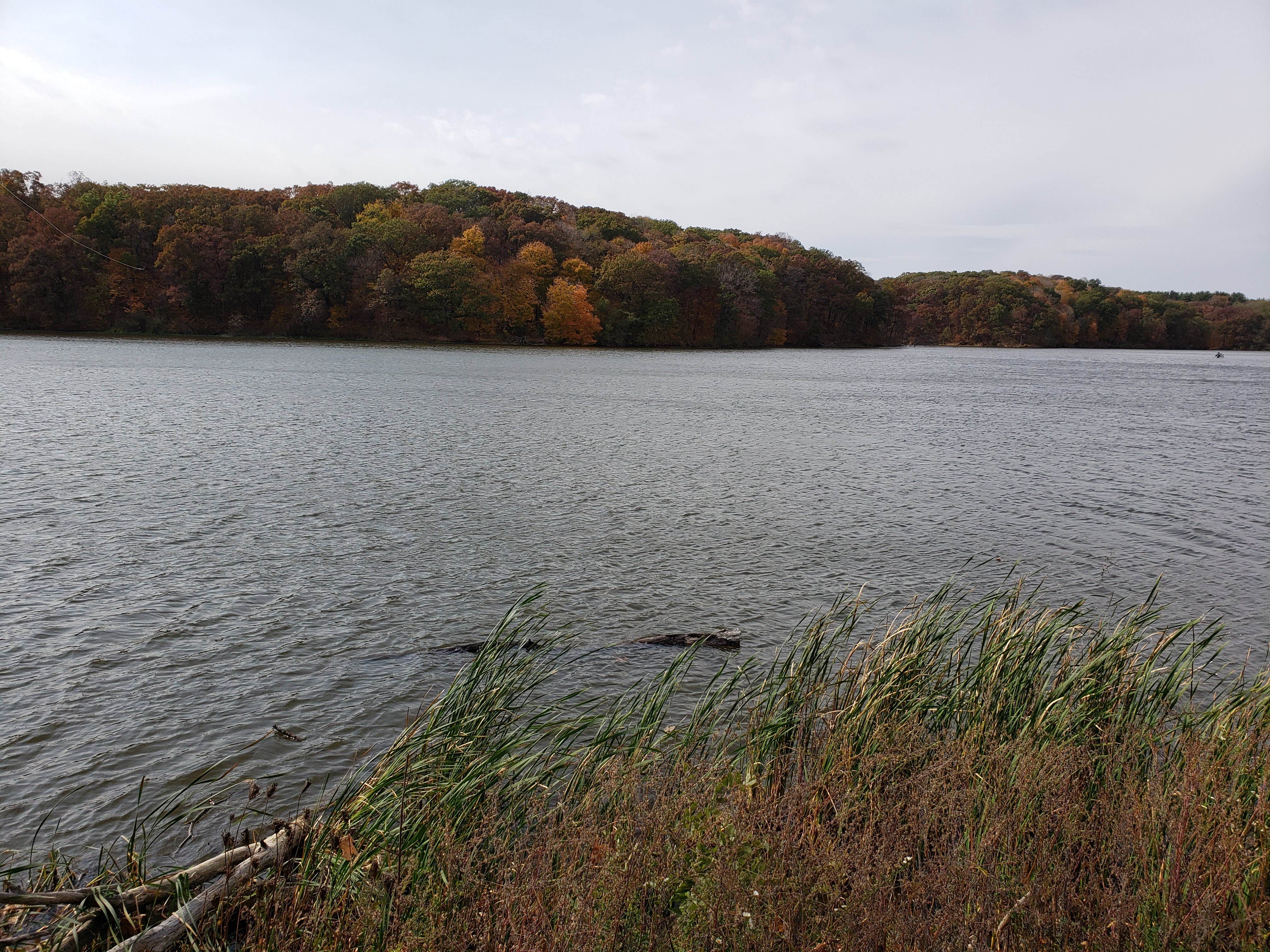 Camper submitted image from Big Oaks Campground — Argyle Lake State Park - 2