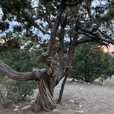Review photo of Zapata Falls Campground by Jeff T., May 28, 2022