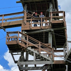 the tower to the zip lines