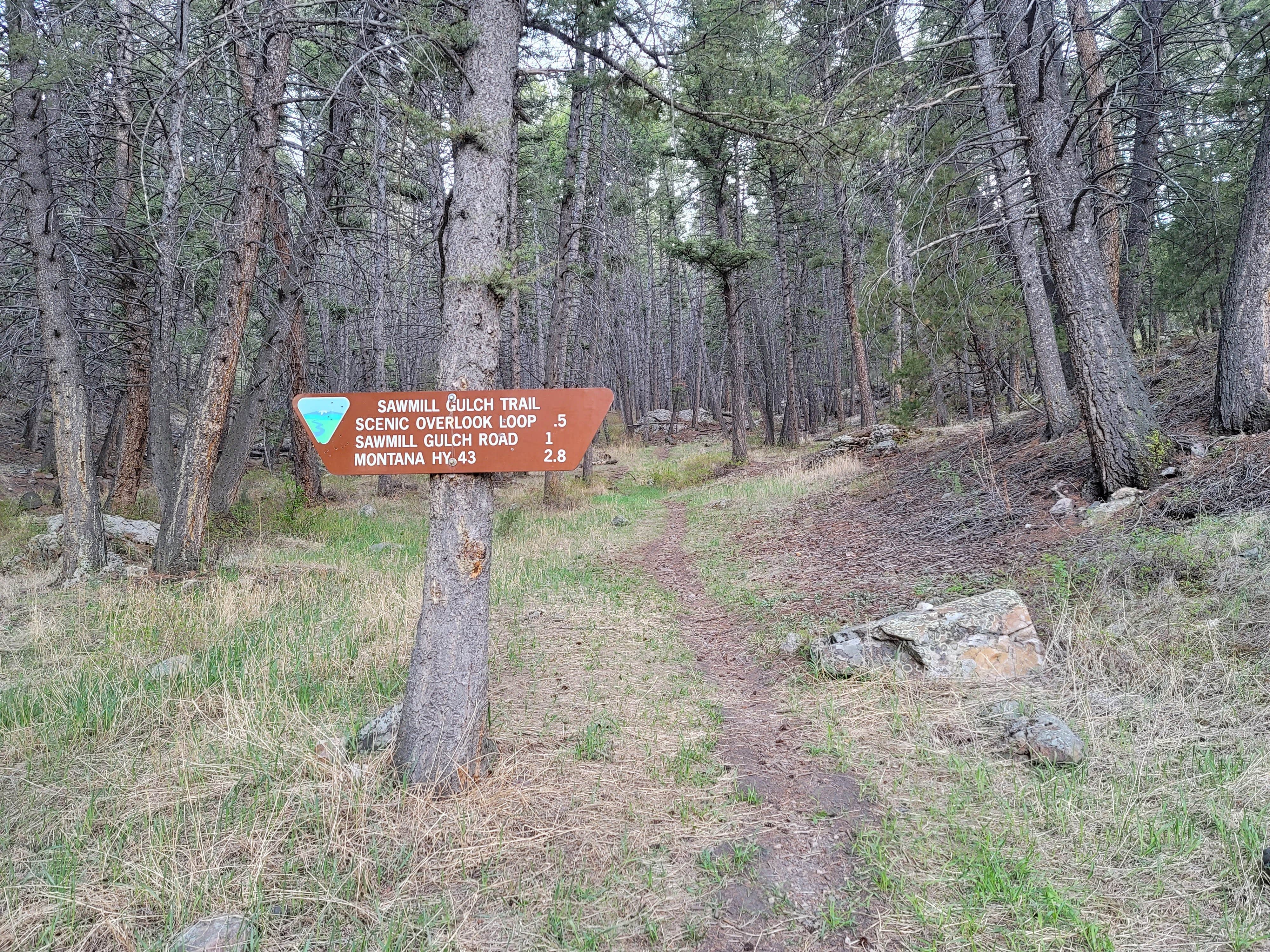 Camper-submitted photo at Divide Bridge Campground near Butte, MT