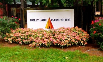 Camping near Cape Henlopen State Park Campground: Holly Lake Campsites, Millsboro, Delaware