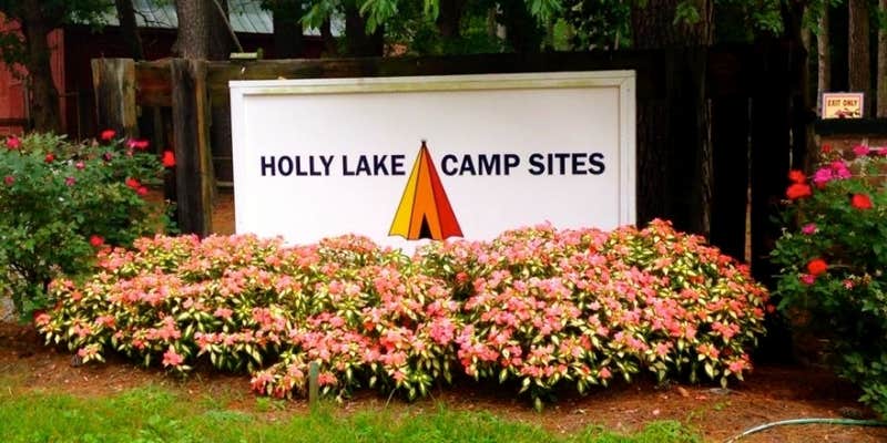 Camper submitted image from Holly Lake Campsites