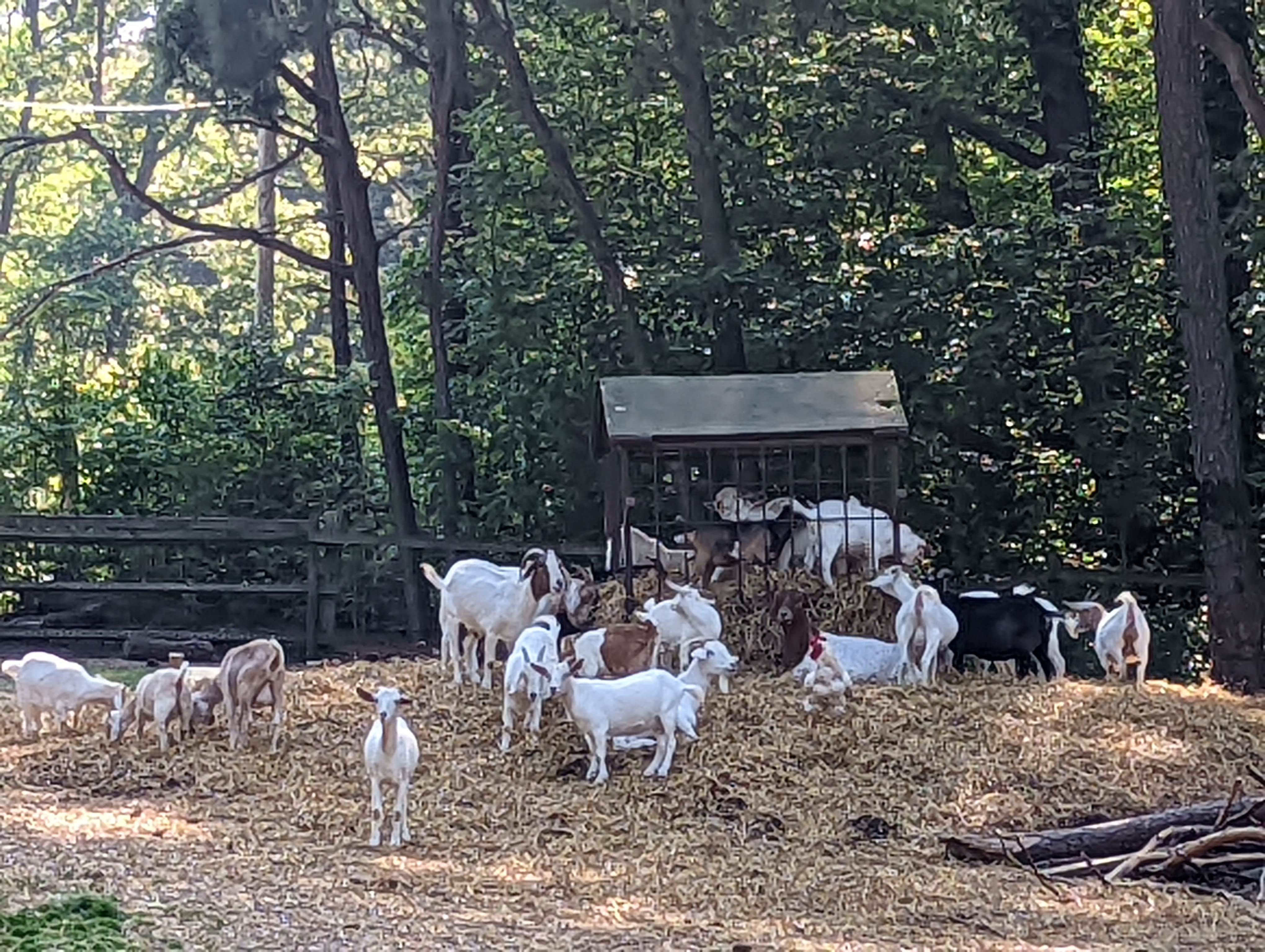 Camper-submitted photo at Holly Lake Campsites near Rehoboth Beach, DE