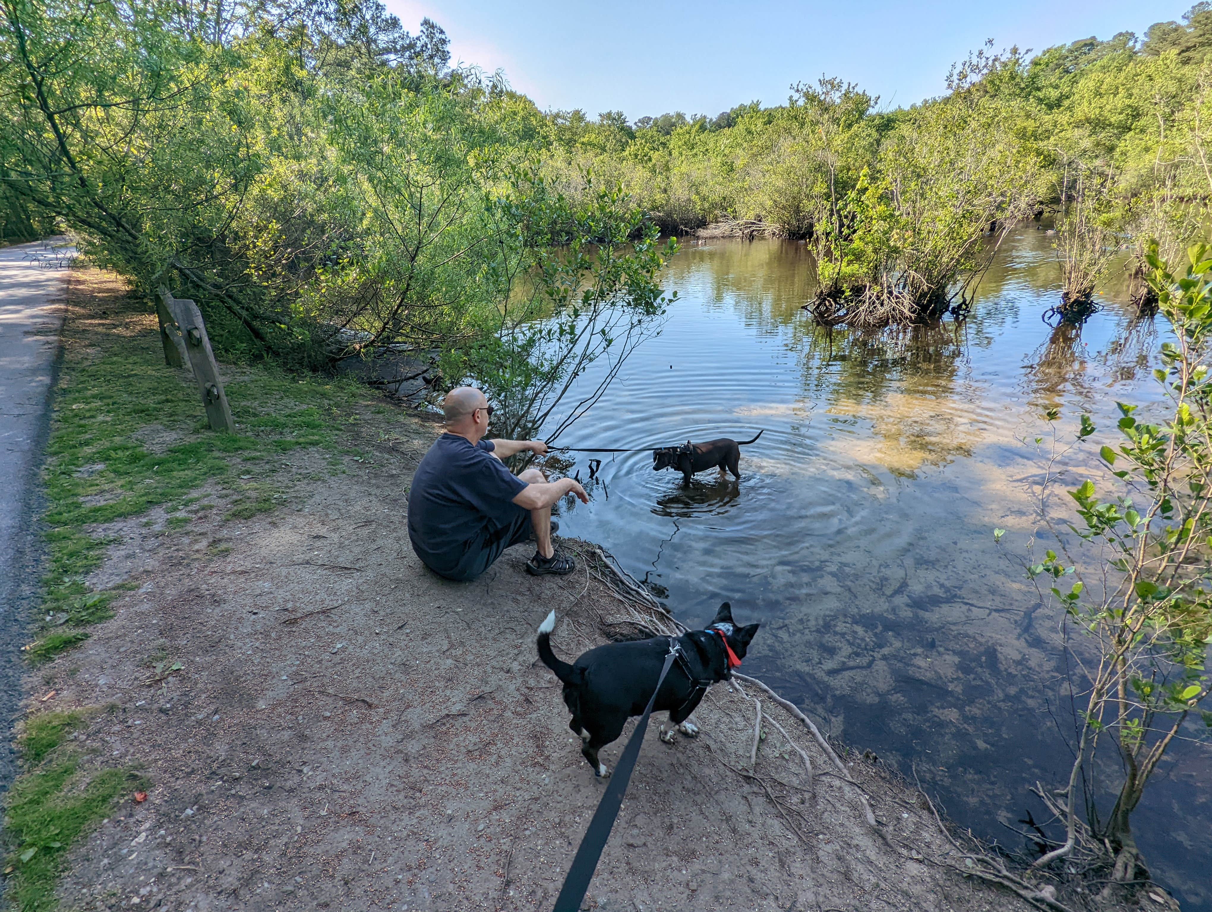 Camper submitted image from Holly Lake Campsites - 5