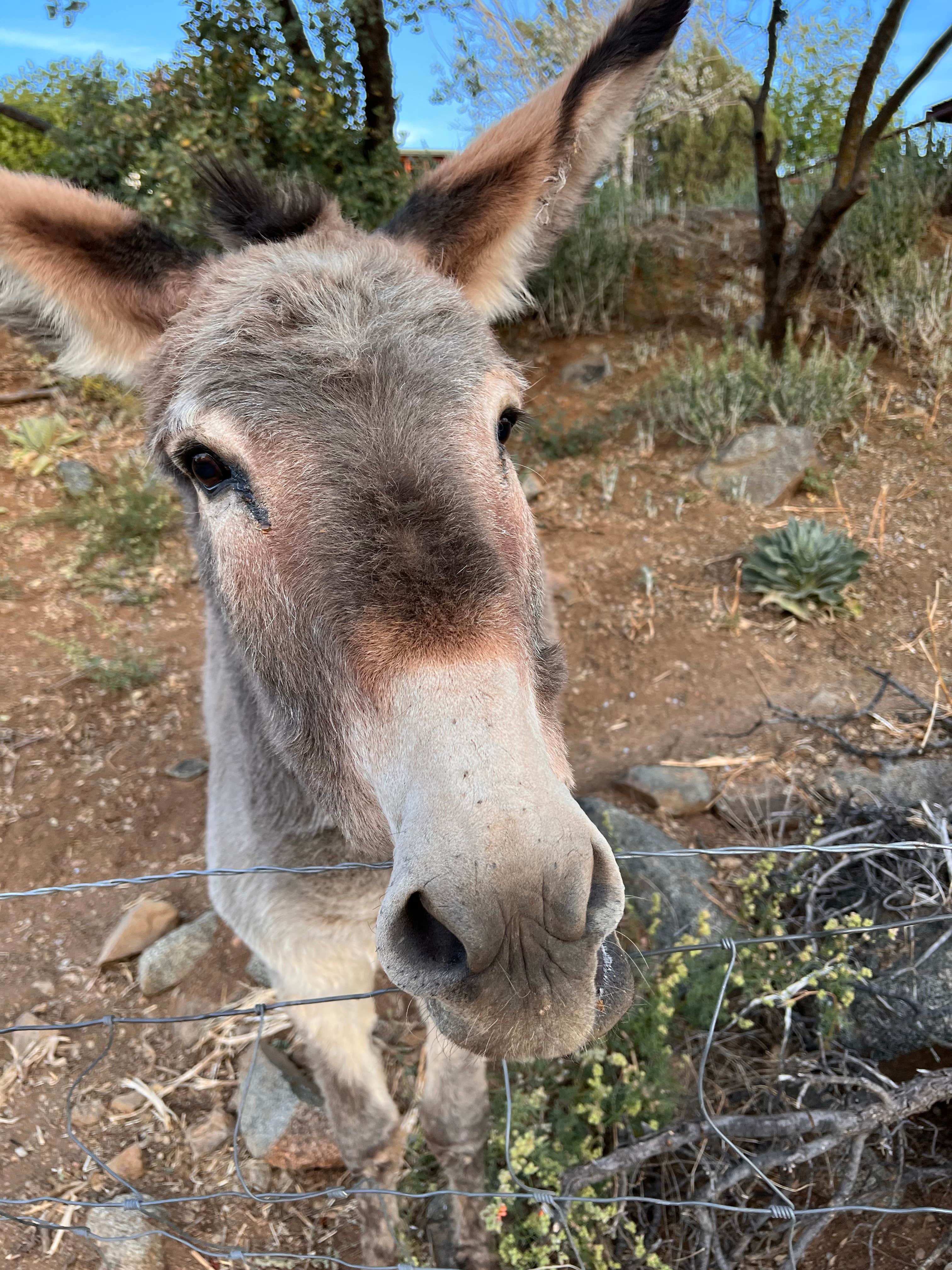 Camper-submitted photo at Oxbow Estates RV Park near Payson, AZ