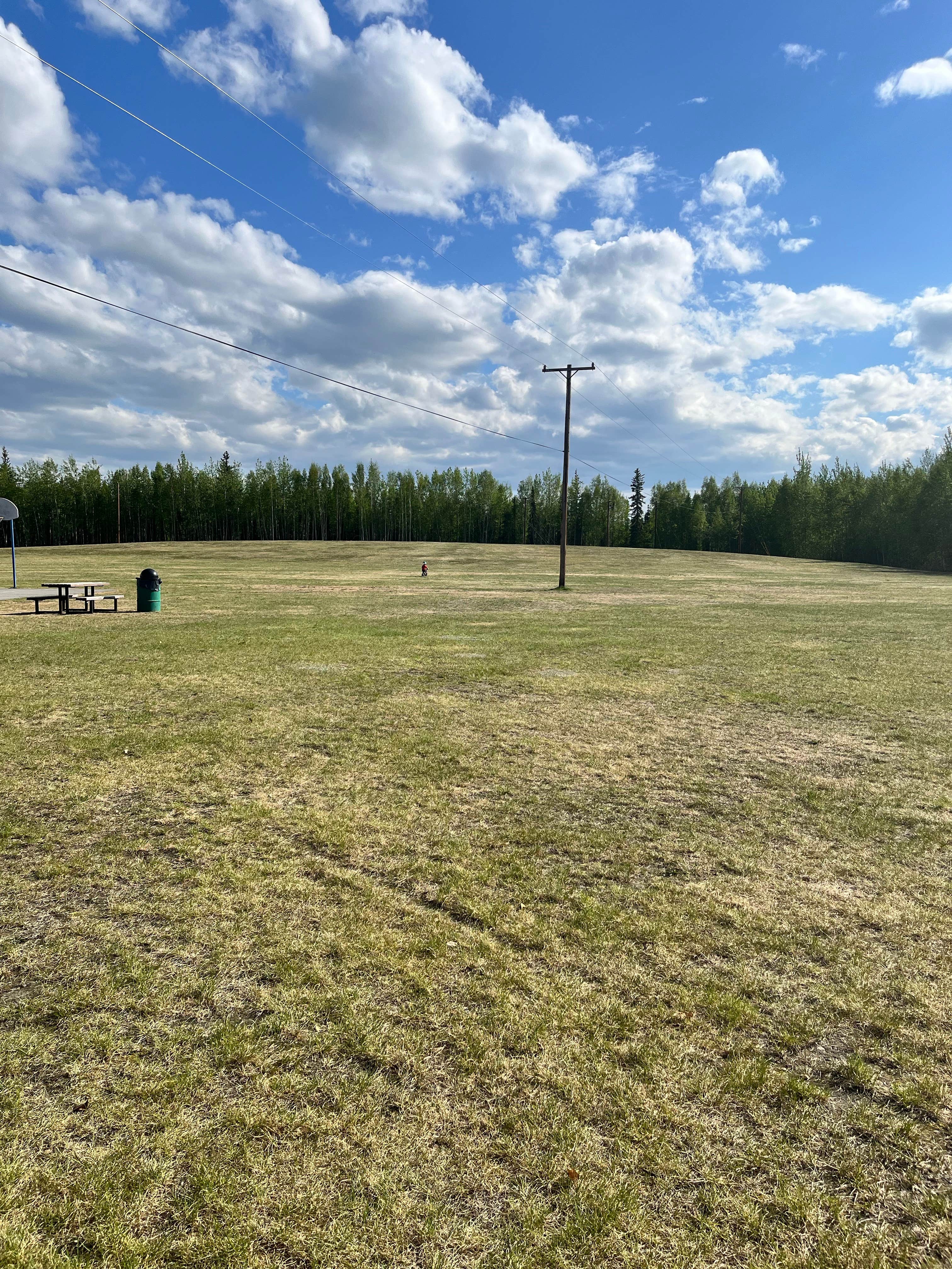 Camper submitted image from Chena Lake Recreation Area - 2