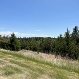 Berry Bridge Campground