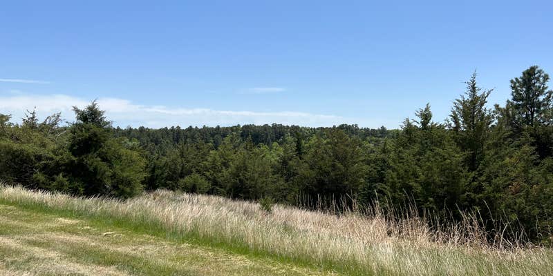 Camper submitted image from Berry Bridge Campground