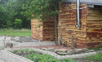 Teresa B.'s photo of a cabin at B Berry Farms & Co. near Roach, MO