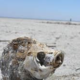 Review photo of Bombay Beach  - Salton Sea State Rec Area by Katie O., July 14, 2018