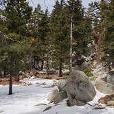 Review photo of Idyllwild Campground by Katie O., July 14, 2018