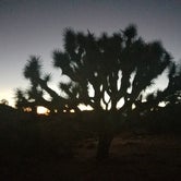 Review photo of White Tank Campground — Joshua Tree National Park by Katie O., July 14, 2018