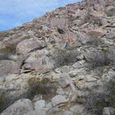 Review photo of Blair Valley Primitive Campground — Anza-Borrego Desert State Park by Katie O., July 14, 2018