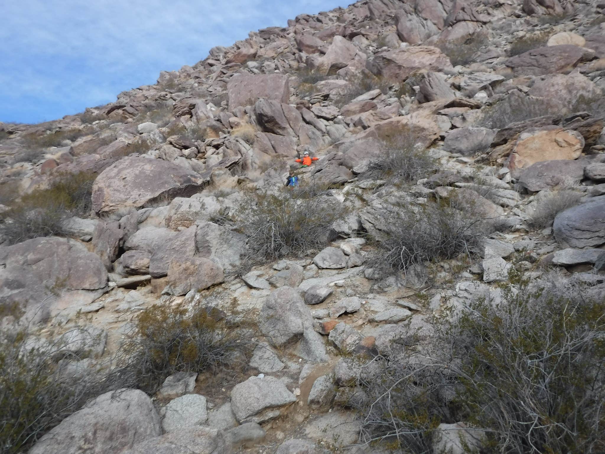 Camper submitted image from Blair Valley Primitive Campground — Anza-Borrego Desert State Park - 2