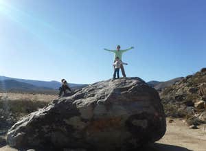 Blair Valley Primitive Campground — Anza-Borrego Desert State Park