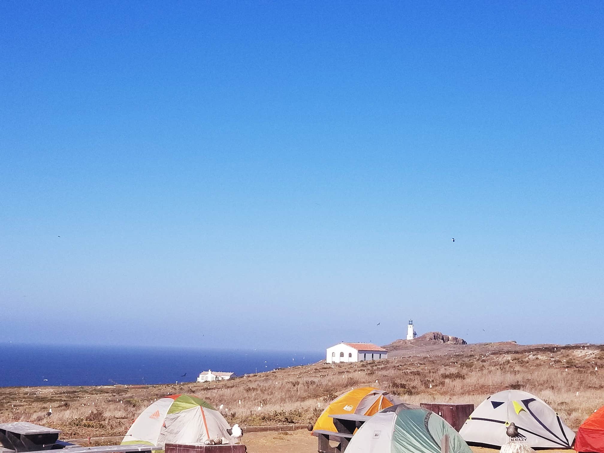 Camper-submitted photo at Anacapa Island Campground — Channel Islands National Park near Channel Islands National Park