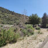 Review photo of Los Alamos Campground at Pyramid Lake by Mario M., May 30, 2022