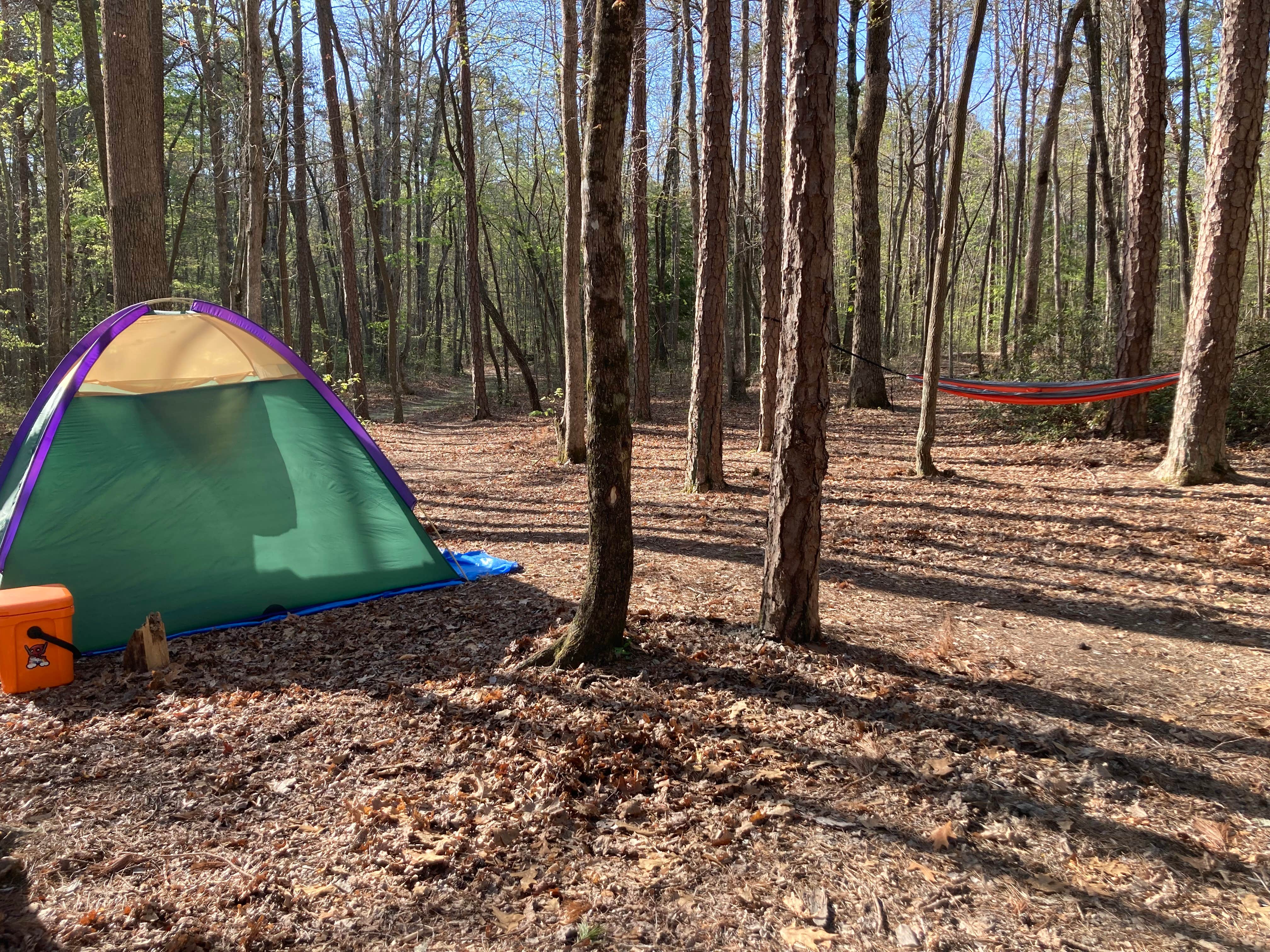 Justin B.'s photo of tent camping at Stone Door Campground — Savage Gulf State Park near Signal Mountain, TN