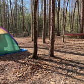 Review photo of Stone Door Campground — Savage Gulf State Park by Justin B., May 30, 2022