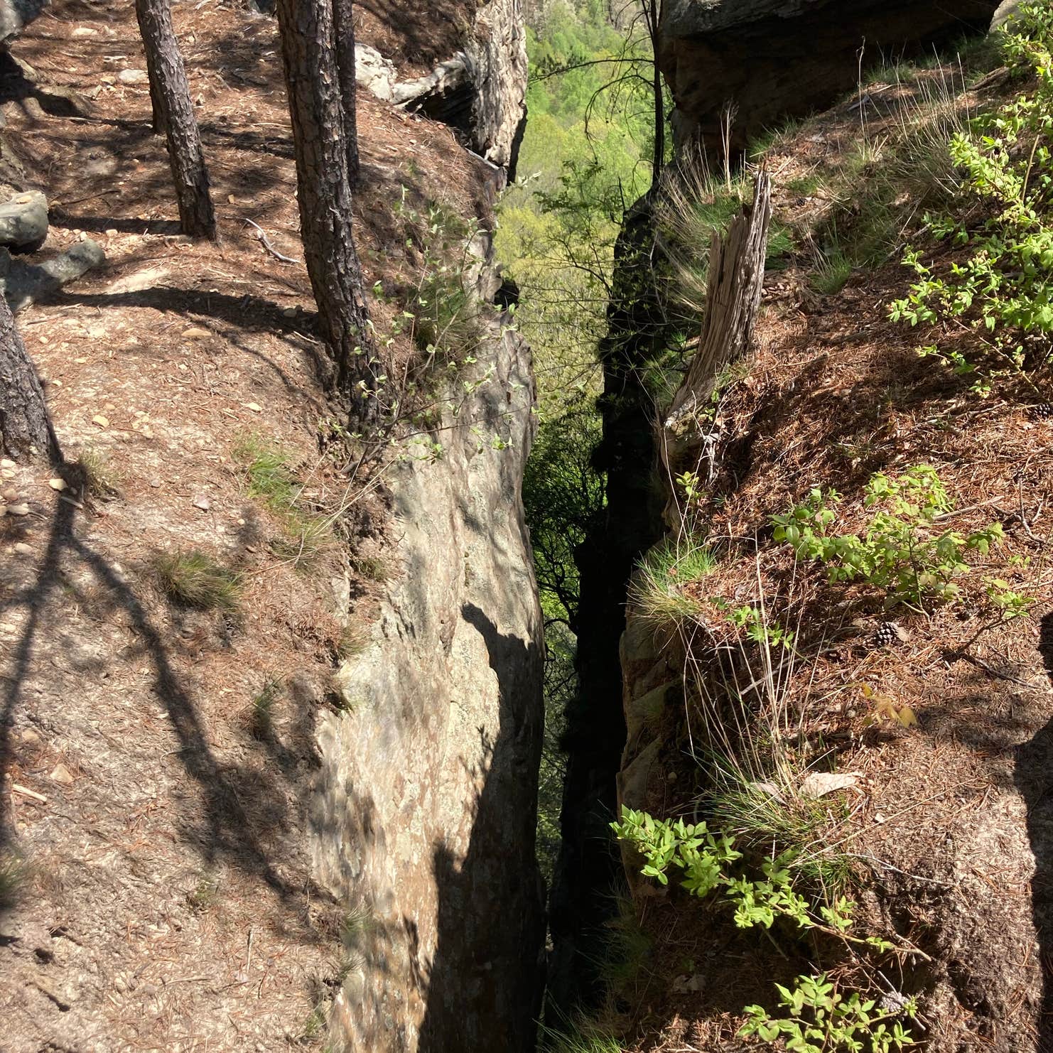 Stone Door Campground — Savage Gulf State Park Beersheba Springs, TN