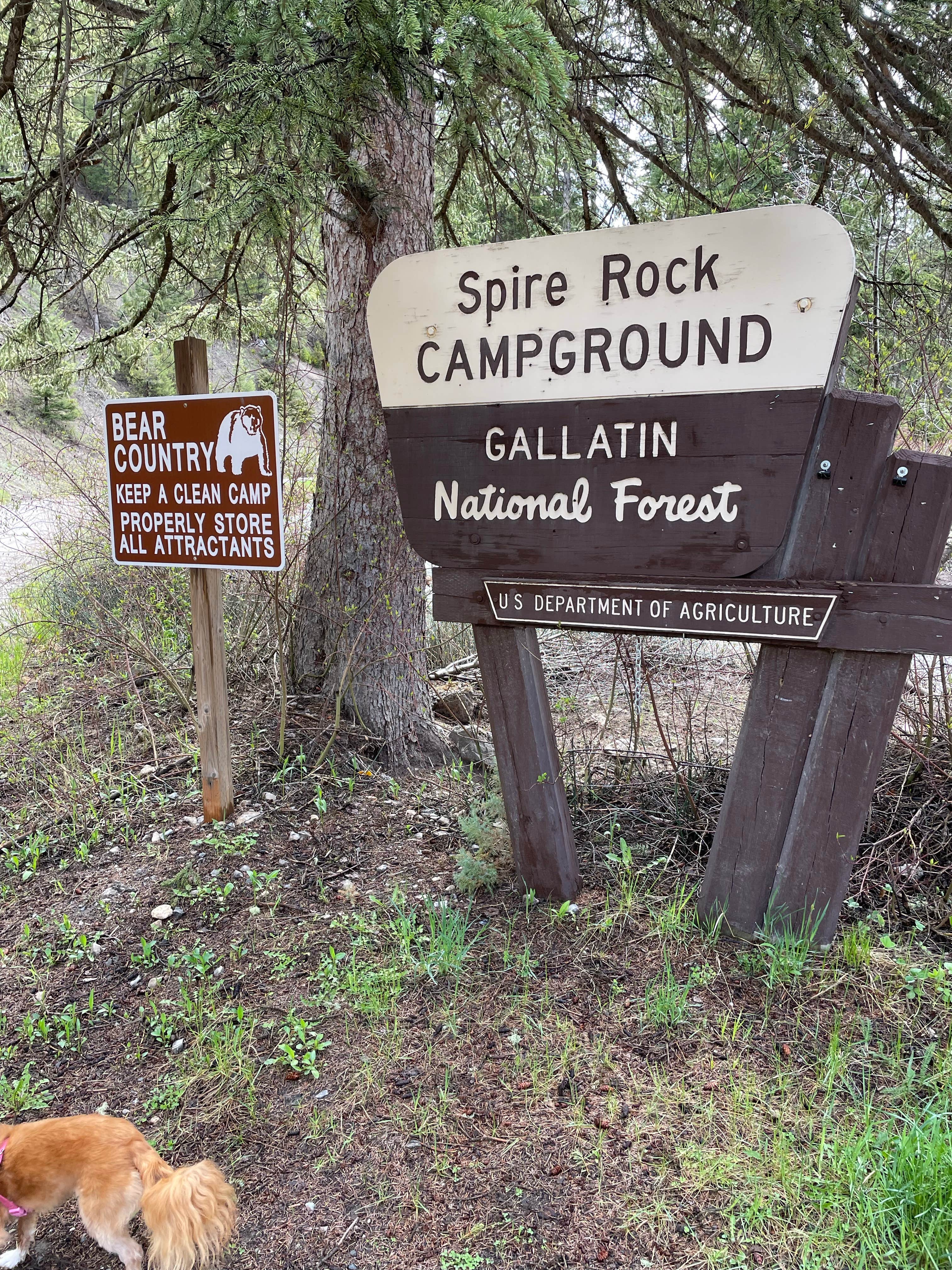 Justin's photo of camping with pets at Spire Rock Campground near Gallatin National Forest